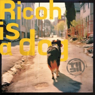 Ricoh is a dog