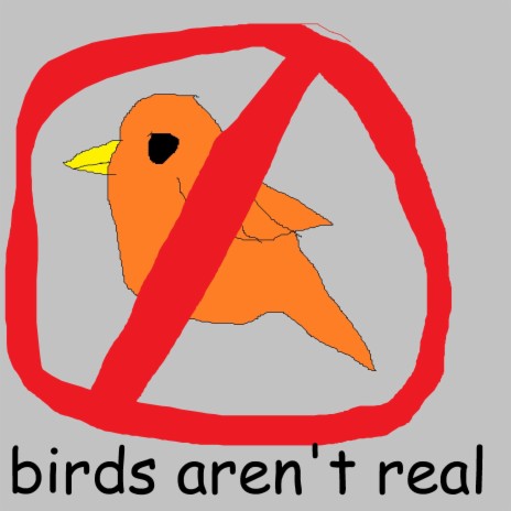 birds aren't real | Boomplay Music