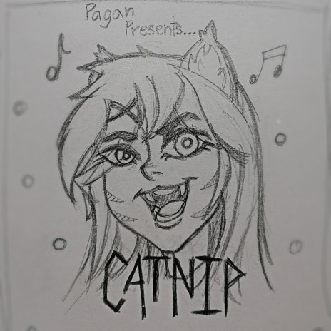 Catnip | Boomplay Music