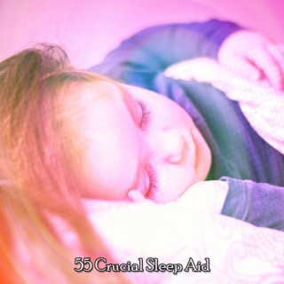 55 Crucial Sleep Aid