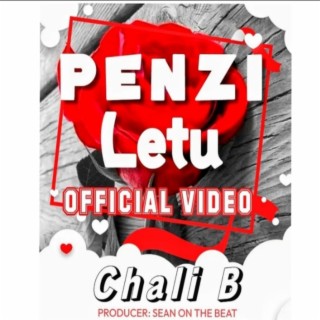 PENZI LETU