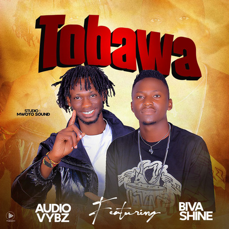 Tobawa ft. BIVASHINE | Boomplay Music