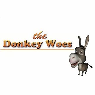 The Donkey Woes (A Capella) lyrics | Boomplay Music