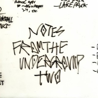 Notes from the underground 2