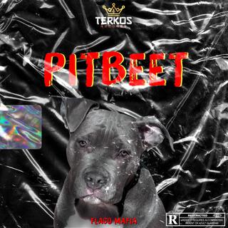 Pitbeet