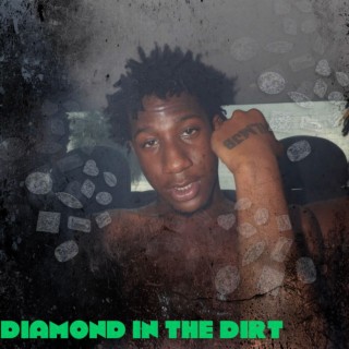 Diamond In The Dirt