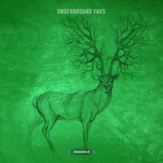 Underground Favs