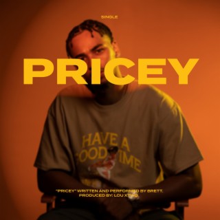 Pricey lyrics | Boomplay Music