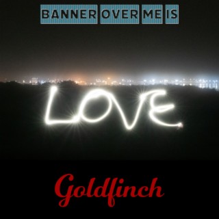 Your banner over me is love