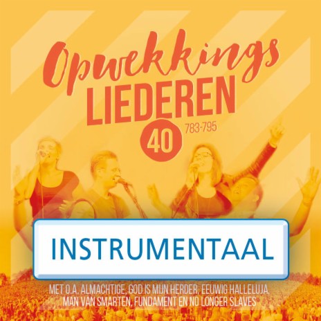 Laat Alles In Dit Huis (784) (Instrumentaal) | Boomplay Music