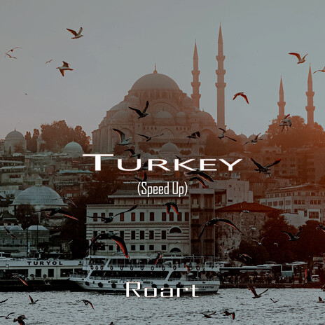Turkey (Speed Up) | Boomplay Music