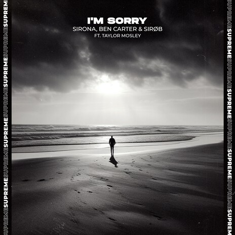 I'm Sorry ft. Ben Carter, SIRØB & Taylor Mosley | Boomplay Music