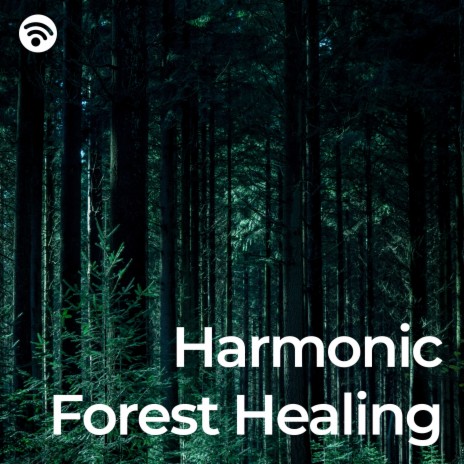 Enchanted Forest Harmonies ft. DreamDeeper & Catch Your Dream | Boomplay Music