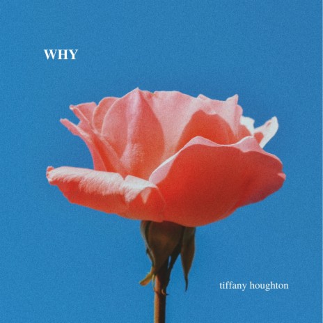 Why | Boomplay Music