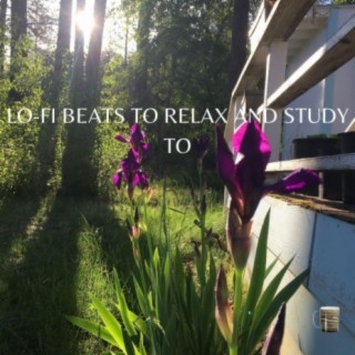 Lo-fi Beats To Relax and Study To, Vol. 12