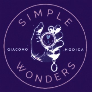 Simple Wonders/Tainsport