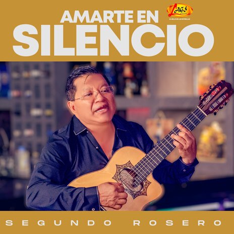 Amarte en Silencio | Boomplay Music