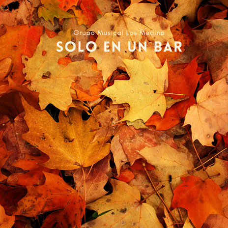 Solo en un Bar