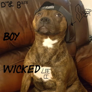 Boy Wicked