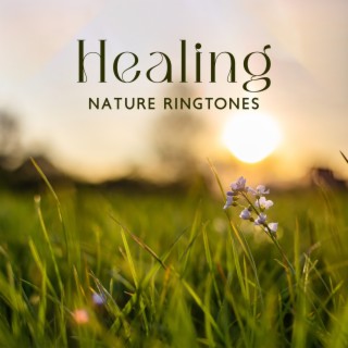 Healing Nature Ringtones: Stress Free Therapy, Stress Relieving, Better Mood