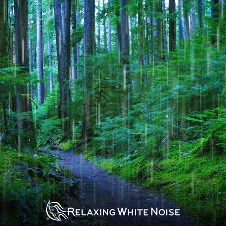 Sleep to Rain Sounds in the Woods (Loop, No Fade) | Boomplay Music