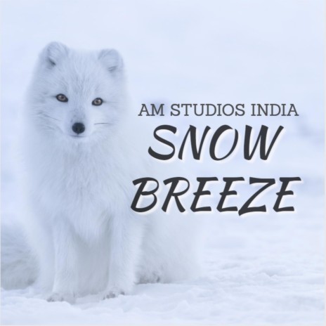 Snow Breeze | Boomplay Music