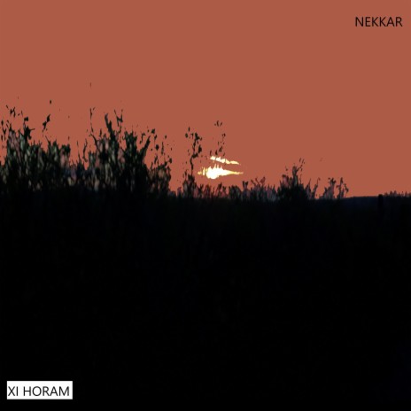 Nekkar | Boomplay Music