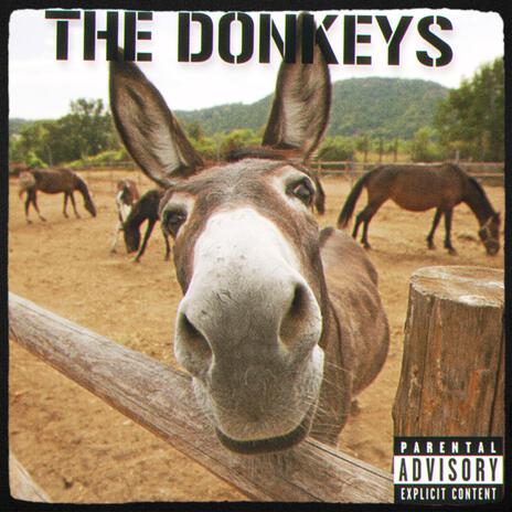 Assumed Norms: Donkey Base | Boomplay Music