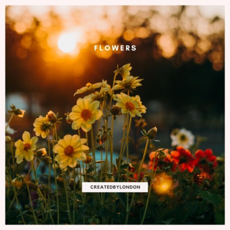 Flowers | Boomplay Music