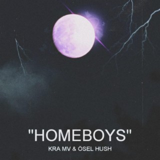 Homeboys lyrics | Boomplay Music