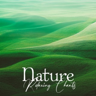 Nature Relaxing Chants – Soothing Green Noise, Sweet Bird Sing, Dreamy Tropical Forest Ambience