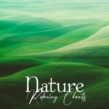 Healing Chants Of Nature ft. New Age Naturist | Boomplay Music