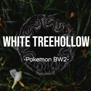 White Treehollow (From Pokemon Black and White 2)