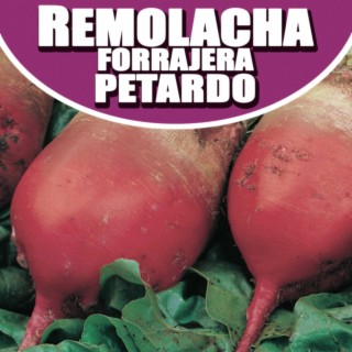 Remolacha Forrajera