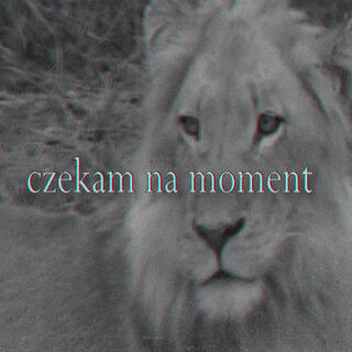 Czekam na moment