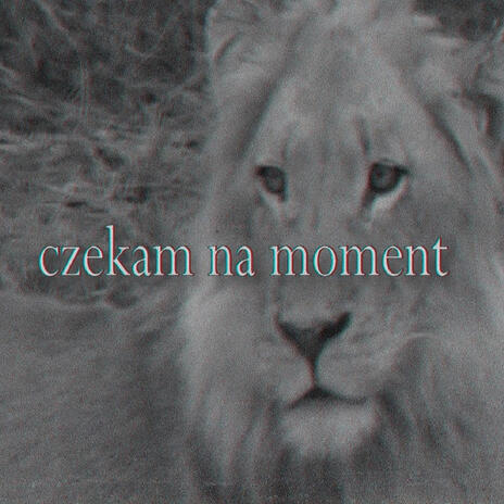 Czekam na moment