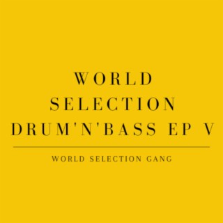 World Selection Drum'n'Bass EP V