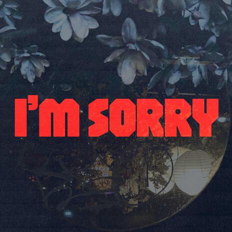 i'm sorry | Boomplay Music