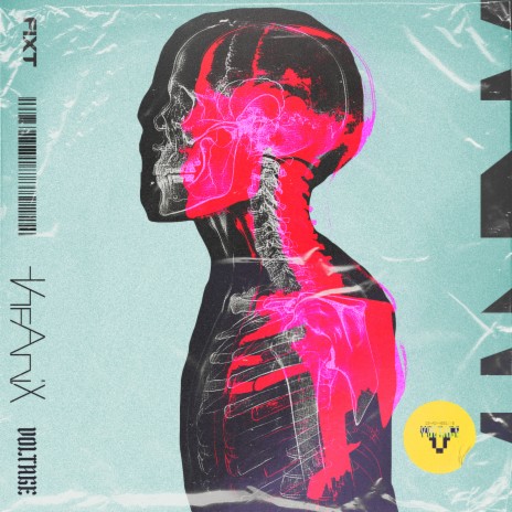 XRAY | Boomplay Music