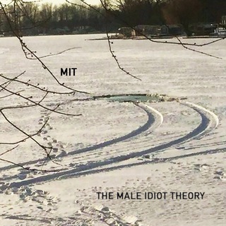 The Male Idiot Theory