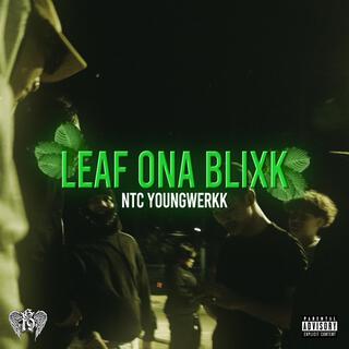 Leaf Ona Blixk lyrics | Boomplay Music