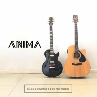 Electroacustico en casa