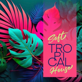 Soft Tropical House – Dreamy Instrumental Beats (Summer Edition)