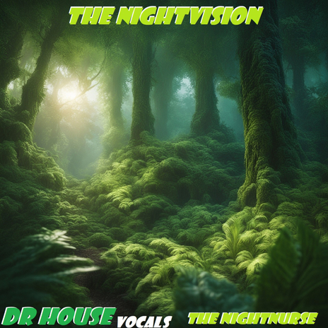 The Nightvision | Boomplay Music