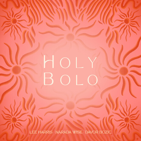 Holy Bolo ft. Narada Wise & Davor Bozic | Boomplay Music