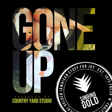 Gone Up ft. Country Yard | Boomplay Music