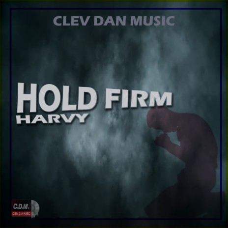 HOLD FIRM (SINGLE) | Boomplay Music