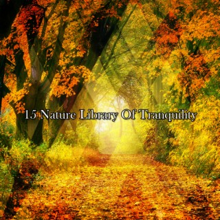 15 Nature Library Of Tranquility