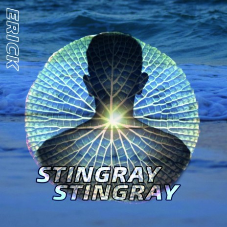 Stingray (Original Mix) | Boomplay Music