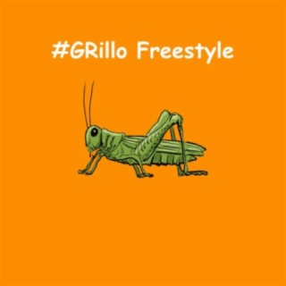 Grillo Freestyle